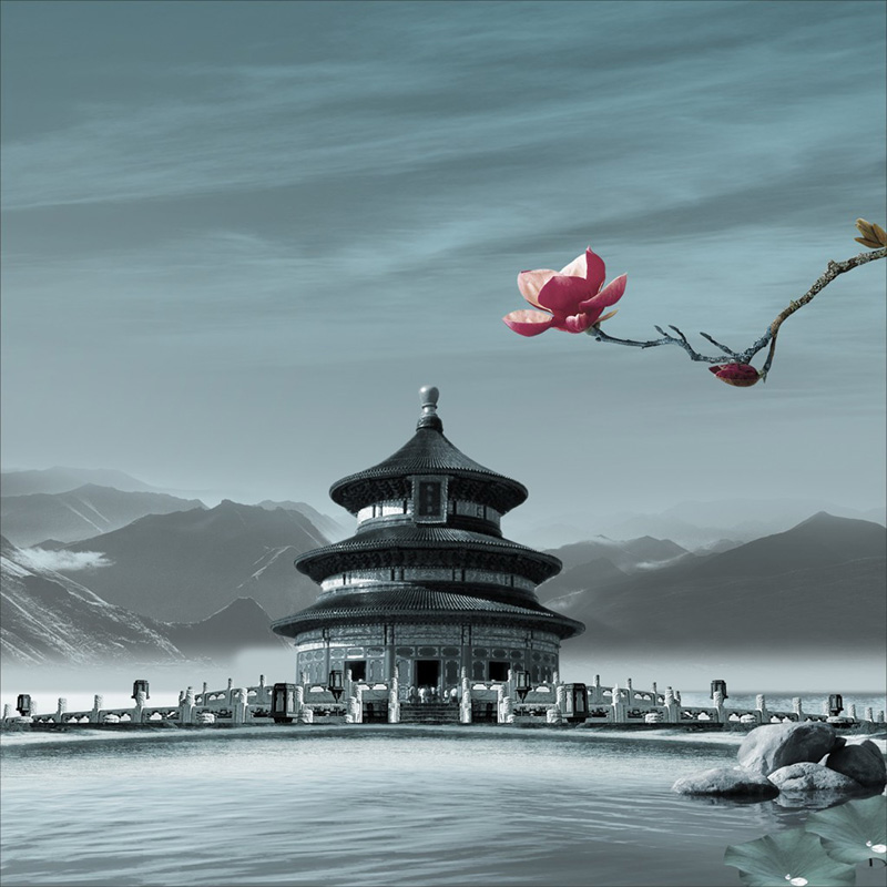 Contact Xuefei Lu